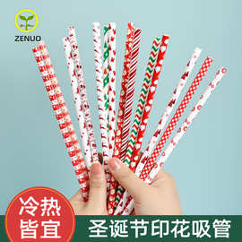11007  圣诞节印花吸管厂家直销PP材质可重复使用硬吸管