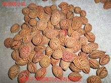 Ұ��ë�Һ˺�15-29mm�������ֳ��朒��ִ���ˇƷ���ԭ���ϰ���