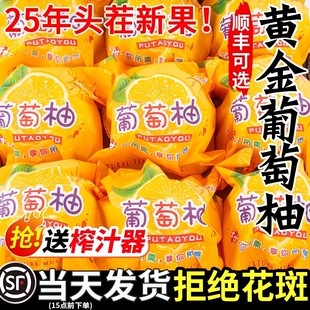 ���ڱ�֭���Ӹ����S�����������rˮ�������S������������������