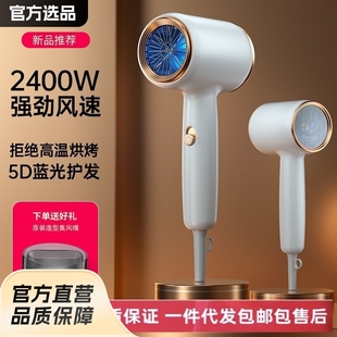 Hair Dryer Hair Salon Special High Power Low Noise Blue Light Negative Ion Household Hair Care Hair Dryer Mute No Hair Injury