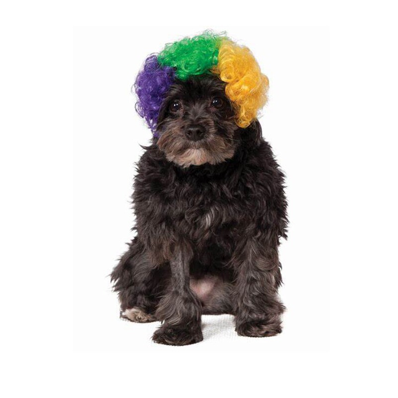 Pet supplies cos wig pet wig Sanyang products factory direct discount rainbow wig clown curly hair