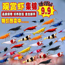 ˮ�������r���B�r�����坍�����^�p�r�r�~���r��ˮ�ښ�С�r�ѻ�