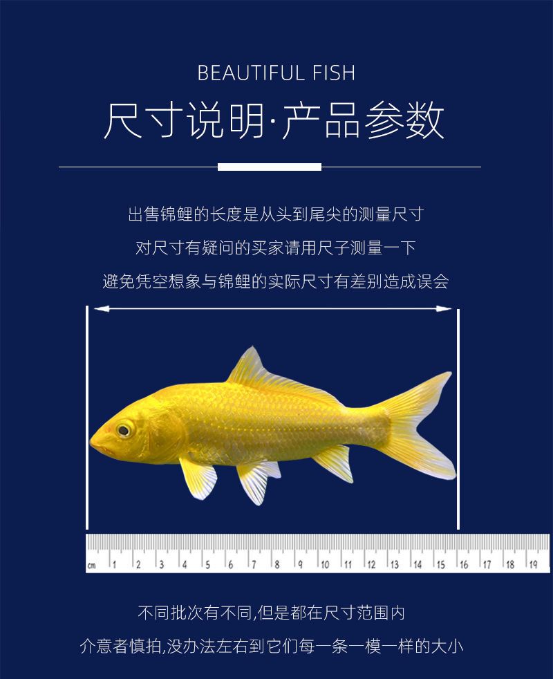 dcd28d2a-219b-48bb-8a87-7cfa0d58f886.jpe