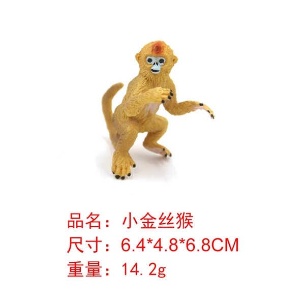 M4149 Little Golden Monkey