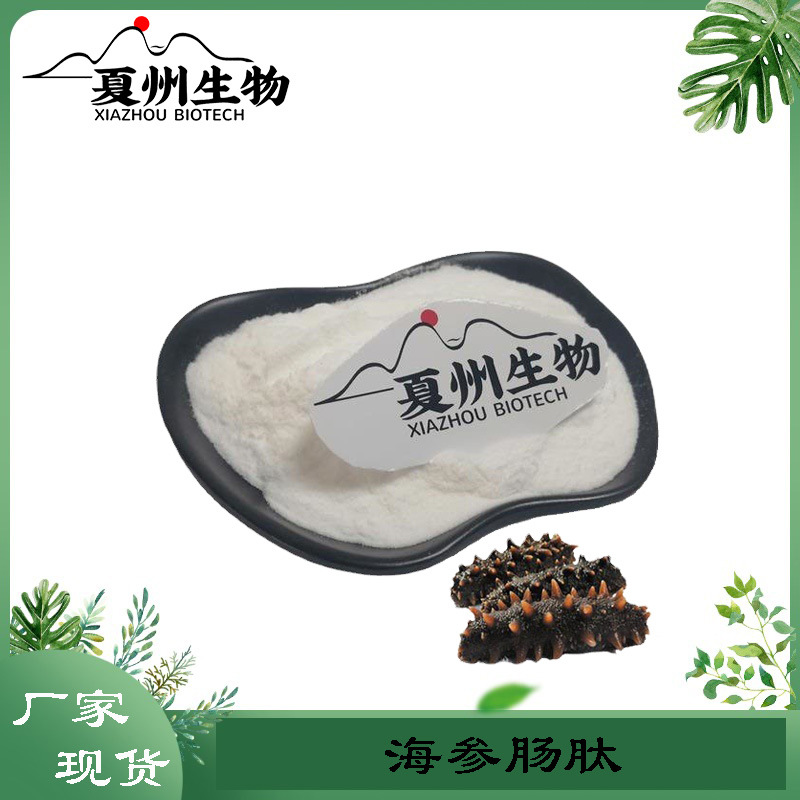 海参肠肽 100g/1kg规格  小分子海参肽粉  优质海参提取物