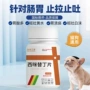 片装胃肠黄水宠物猫咪