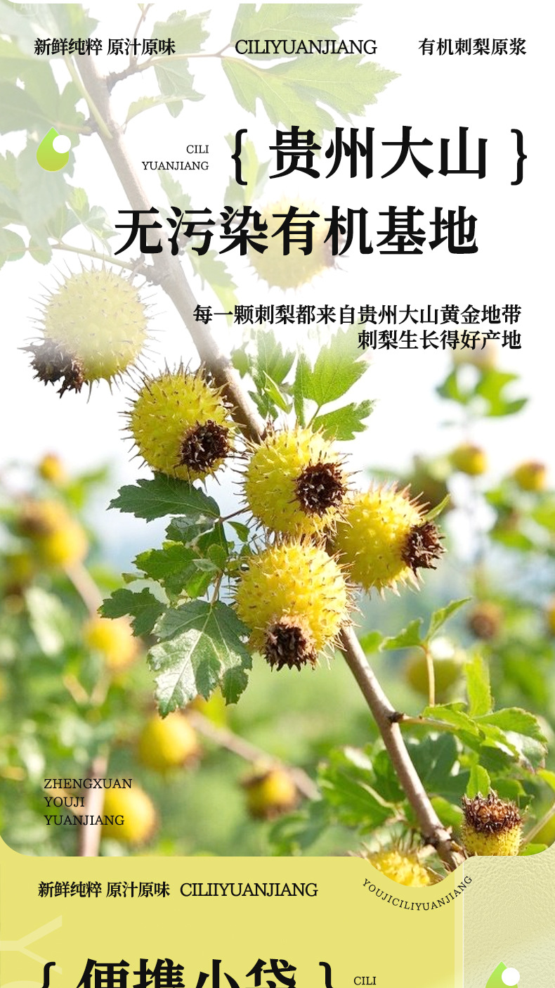 贵州有机刺梨原浆鲜果鲜榨NFC刺梨汁拒绝添加刺梨原液源头工厂-阿里巴巴