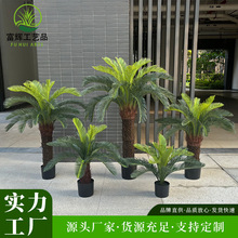 �����K�F�Gֲ�����̈�����쾰�����bᎧ��ֲ��h�������F��