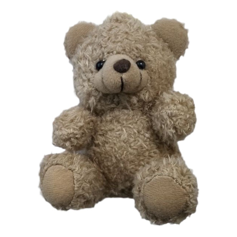 Oso lindo llavero de dibujos animados felpa muñeca llavero del coche bolso las mujeres garra pequeño regalo al por mayor