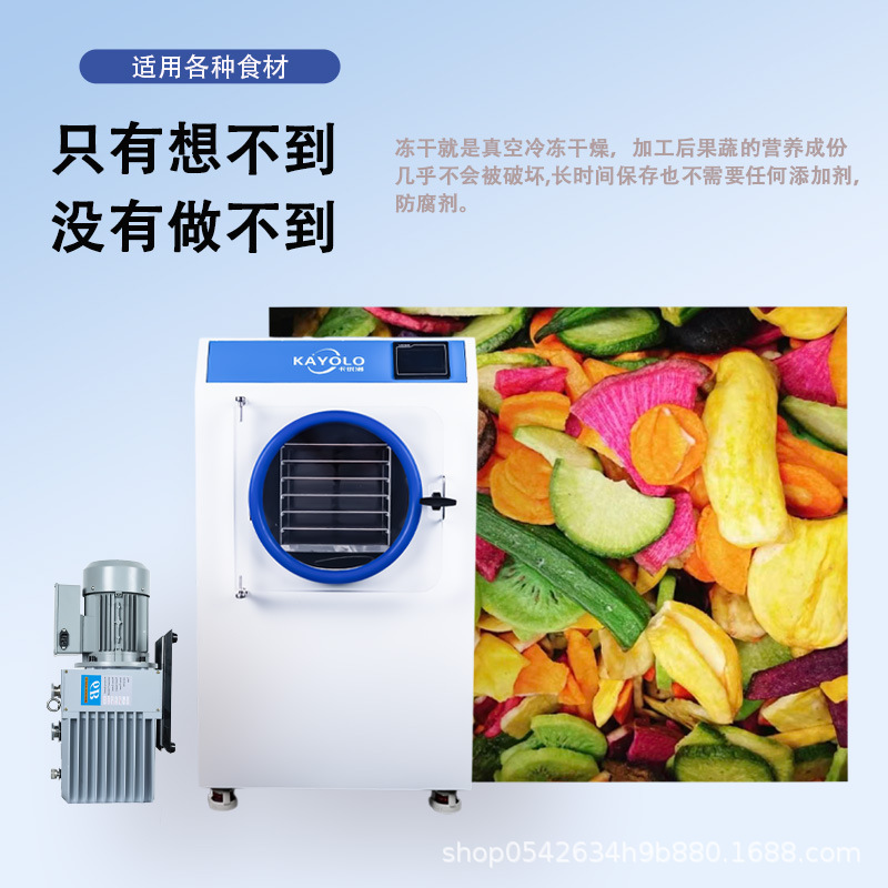 0.5 ㎡ フリーズドライ機家庭用小型食品果物野菜漢方薬スナック真空凍結乾燥機機器|undefined