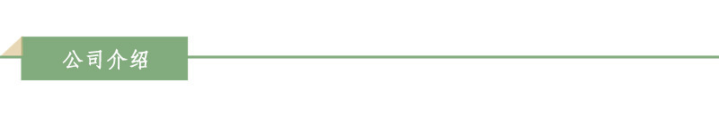 方块-公司介绍.jpg