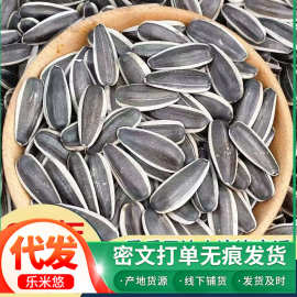 代发葵花籽新货现炒瓜子焦糖核桃五香瓜子坚果炒熟葵花籽批发