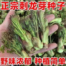 ����ѿ�����Ӵ���ѿ���Ӷ����������ִ���ѿԭװ�ļ��߲����Ӵ�ȫ