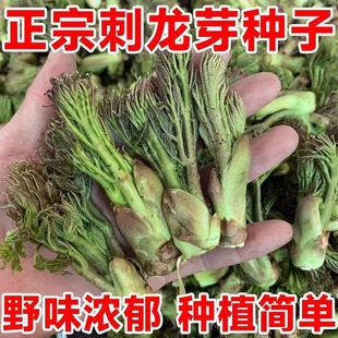 ����ѿ�˷N�Ӵ���ѿ�N�Ӗ|���������N����ѿԭ�b�ļ��߲˷N�Ӵ�ȫ