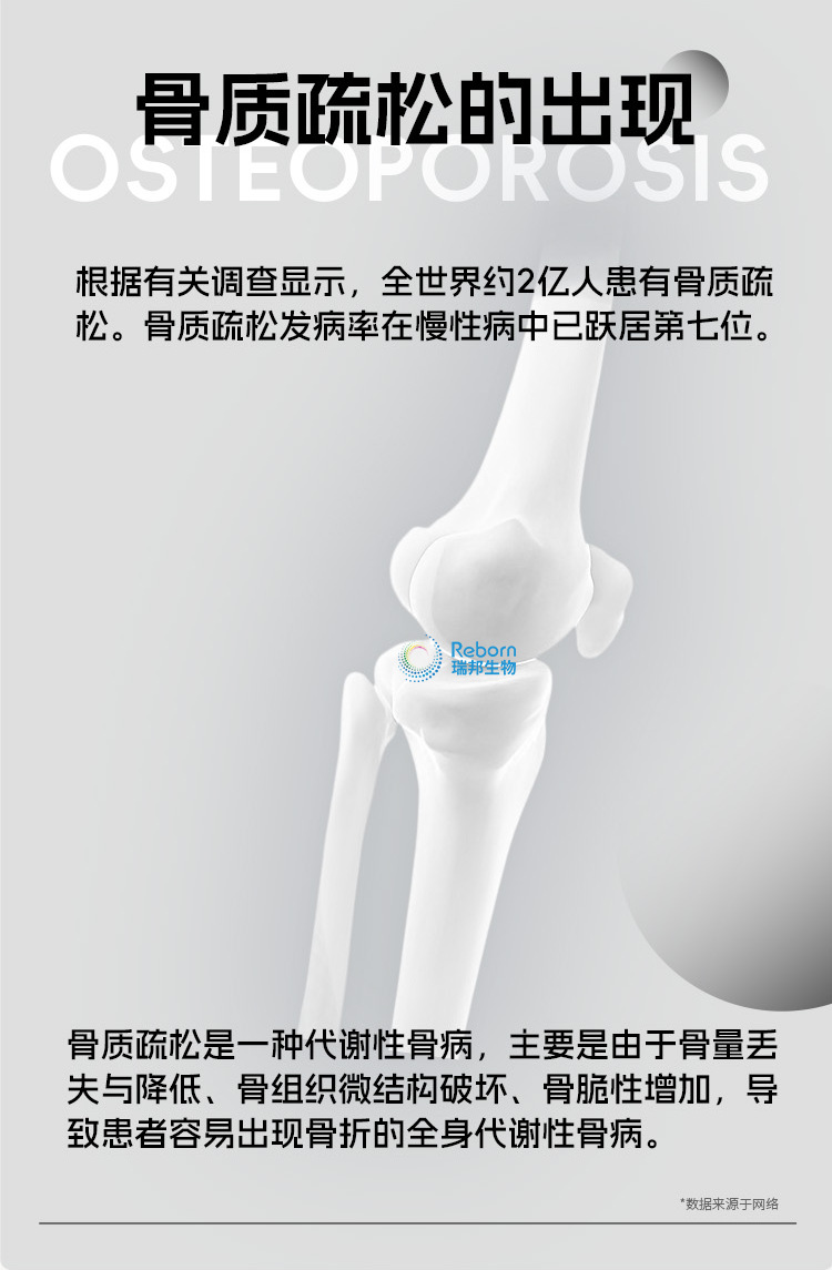 骨胶原202402.png
