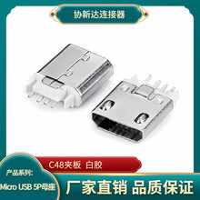 MICRO C48�A��ĸ�� 5Pǰ����� �����Κ� �O��C48�D���^ ��߅ֱ߅