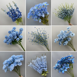 �F���{ɫϵ����c�����~��õ����ĵ���ٻ���Y�ñ����b�ˇ