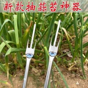 Garlic moss extraction artifact stainless steel garlic bolt knife pull pull pull peeling garlic moss scraping tool household garlic moss harvesting knife