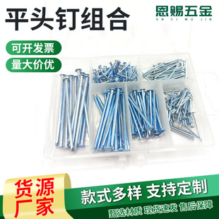 Manufacturer's Spot Wholesale Flat Head Nail Combination Pp6 Grids Packaging 240Pcs Construction Furniture Accessories Galvanized Flat Head Nails
