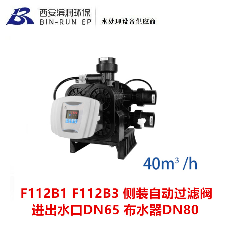 F112B1 F112B3 F78A1 F78A3润新侧装40吨自动过滤阀 进出水口DN65