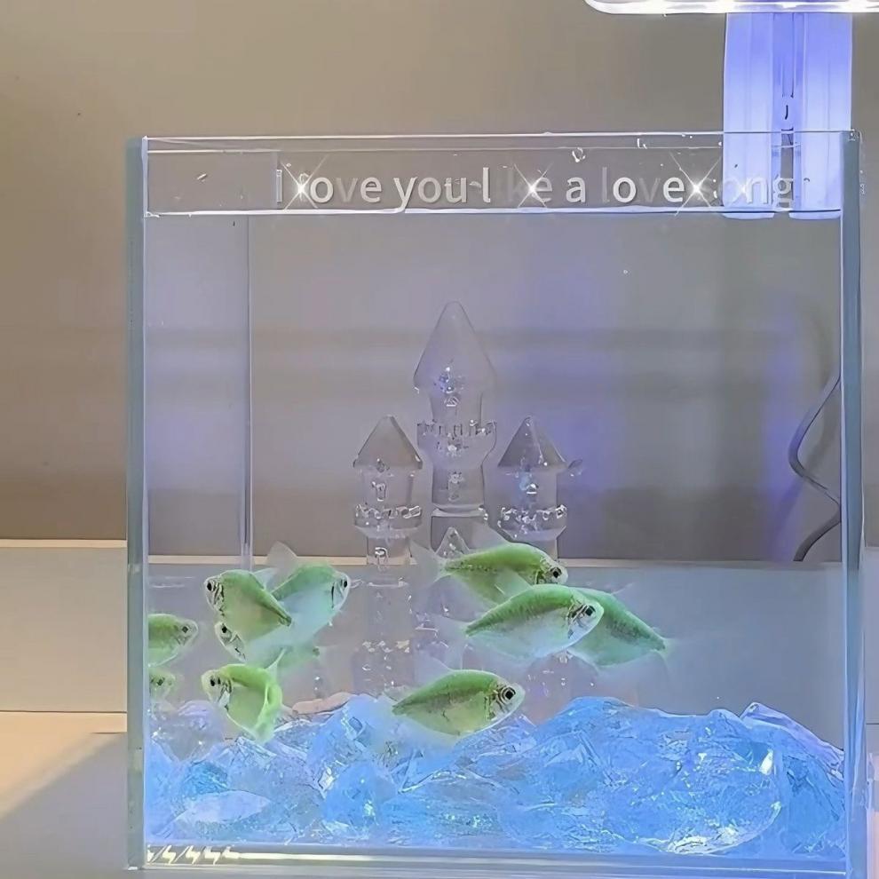 1d5675d5-f18e-4f3d-90f8-7643f7f7f2fd.jpe