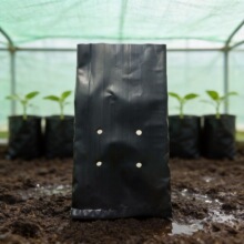 ���ƾ���ϩUV������Nֲ�����͸��Nֲ��ɫ������ڰ�ɫ�����