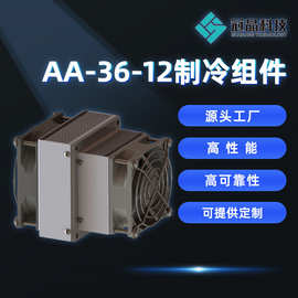 半导体制冷模组电子制冷器散热系统机柜空调致冷机芯AA-36-12