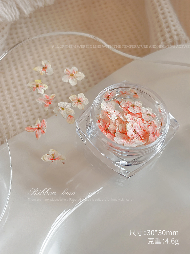 단일 연분홍색 드라이플라워#01