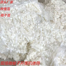 厂家直发精干茧柞蚕丝光胎原料蚕茧壳蚕茧球批发开茧机抽丝机可用