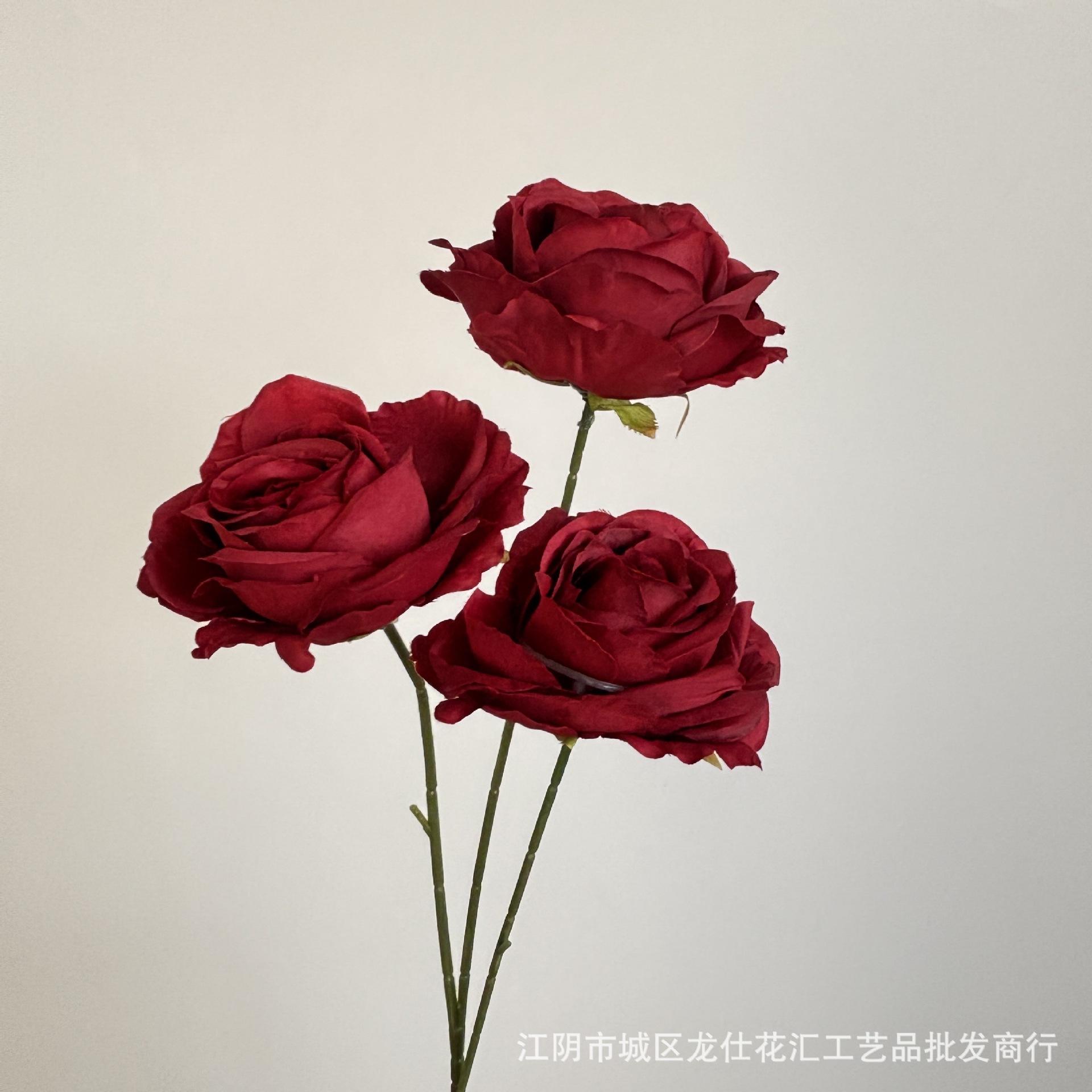 스노우 마운틴 로즈