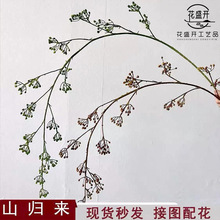 ɽ�w��{�����滨�ٻ���ʽ��Y�Y�ñ����b��Ҿӿ͏d�[�����滨