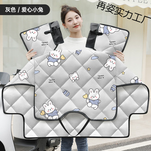 Electric car windscreen by autumn and winter motorcycle battery car thickened double-sided waterproof windproof small fleece-lined four-season universal