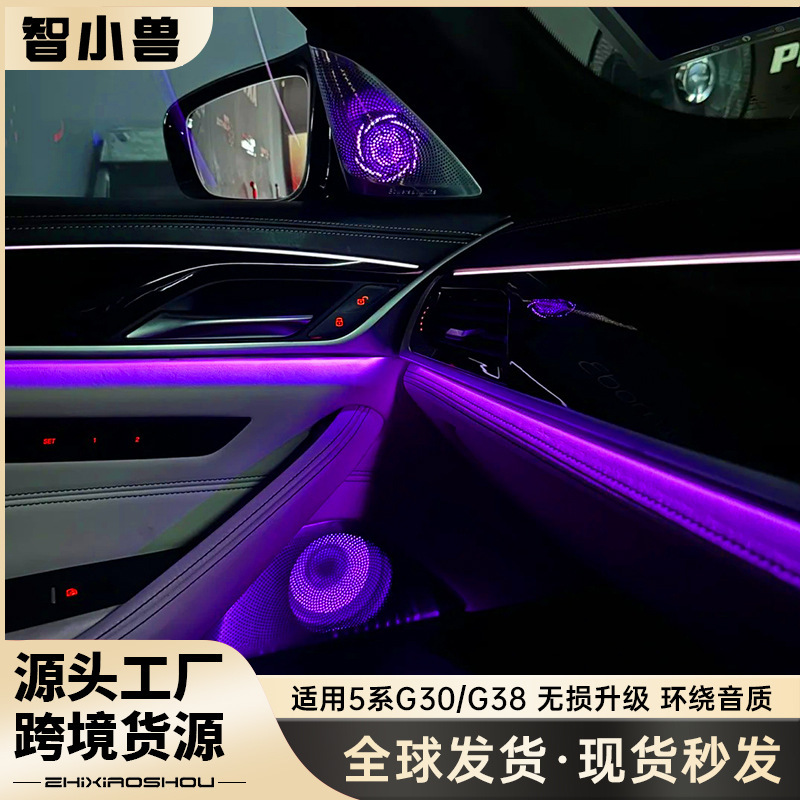 Suitable for Bmw 18-23 New 5 Series G38G30 Audio Speaker Luminous Cover Ambient Light
