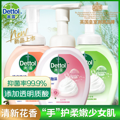 滴露 泡沫抑菌洗手液250ml 正品批发 一件代发