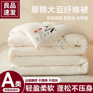 A类大豆纤维被子棉被被芯秋冬被2025新款学生宿舍空调被四季通用