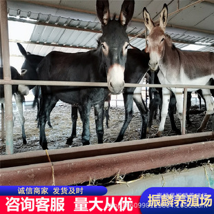 ���ݸ����H �ӱ���߅ȥ�����I�H��� �����H��һ�^�r��