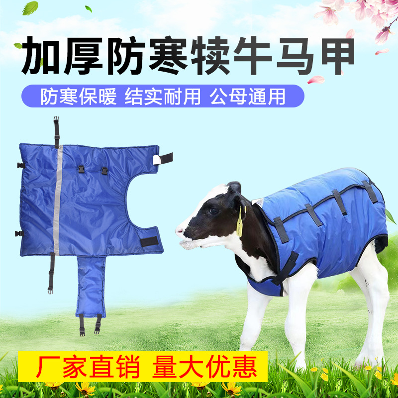 Chaleco de pantorrilla ropa acolchada de algodón para el ganado ropa a prueba de frío pantorrilla impermeable a prueba de frío ropa de aislamiento térmico pantorrilla caliente