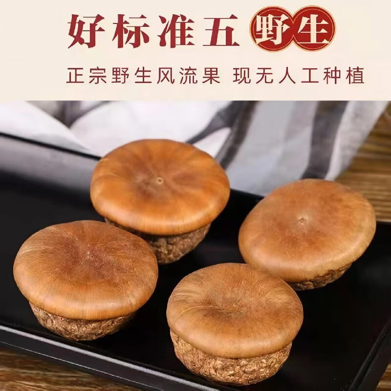 Feng Liu Guo (Lithocarpus/Sclerophyllous Oak Fruit) — Dried Food Herb for Wine Infusion & Soup specifications