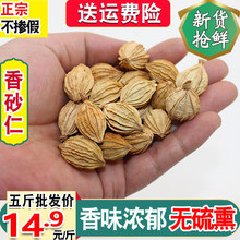 ��ɰ�ʽ�ɰ�����x��؛���]��g��ɰ��ɳ�ʽ�ɰɯ�����{��