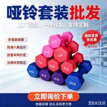 哑铃女士健身家用男士力量训练器材锻炼铸铁初学者练臂肌LB小哑铃