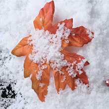 圣诞雪棉假人造雪地棉圣诞树棉花场景布置雪景仿雪花圣诞节装饰品