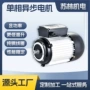 单相异步活动电动电机
