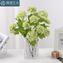 滨 ѩ Ҿӿ͏dWʽܛb̻c[辰ٻ