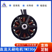 2306 2900KV oˢ늙CS o˙CR_ Technomotor