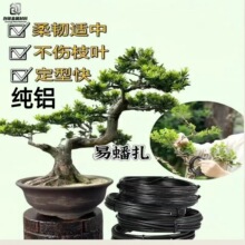 �F؛��ɫ���ٽz��֦�����辰�@ˇ���X�zֲ��������������ԭɫ�X�l