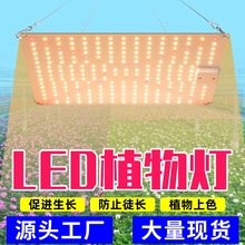 ǫֲﲹLEDӰȫڴֲ50w