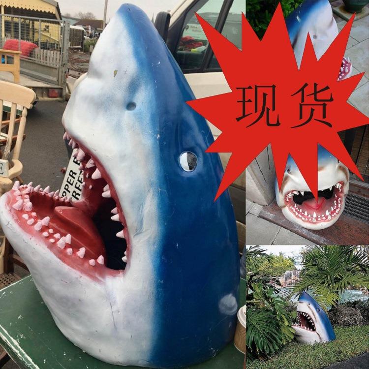 Big white shark