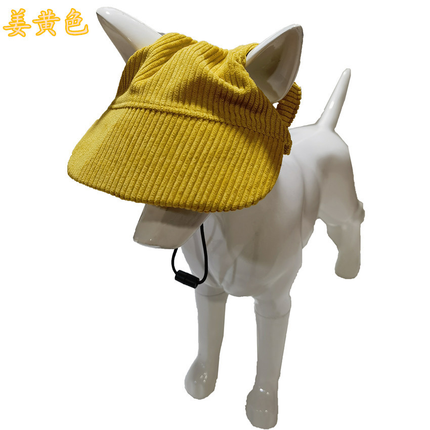 黄色2_副本_副本