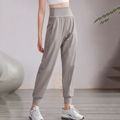 Autumn and winter nylon high-waisted yoga sweatpants for women, loose-fitting harem pants, running fitness sweatpants, casual trousers