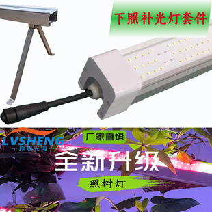 100W���g���⚤ ֲ��ײ��a����׼� IP65��ˮ���Ο��⚤ ��֧��
